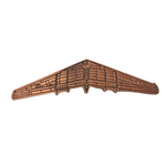Flying Wing Lapel Pin