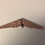 Flying Wing Coin